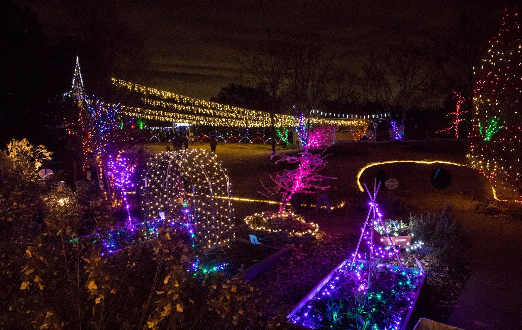 Botanic Garden- Holiday Wonders at the Garden
